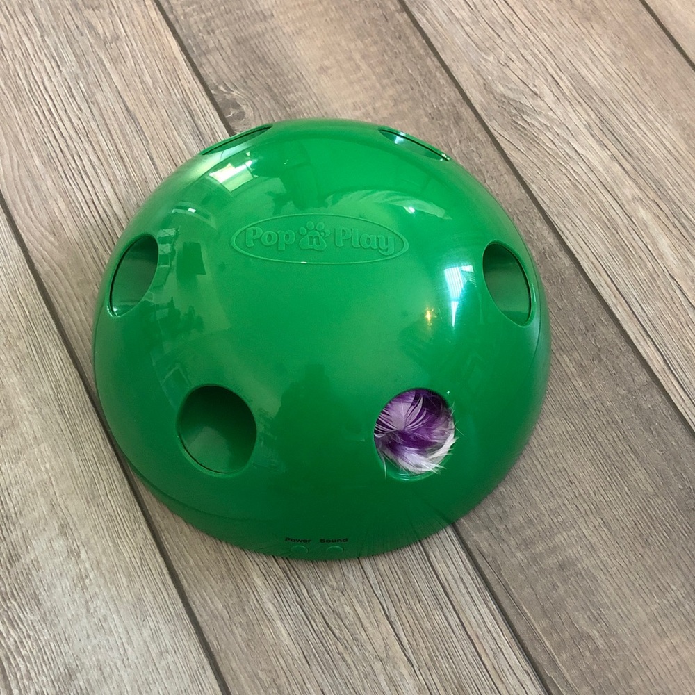 Green Interactive Cat Toy